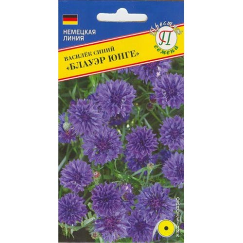 Василек Блауэр Юнге Престиж изображение 1 артикул 84463