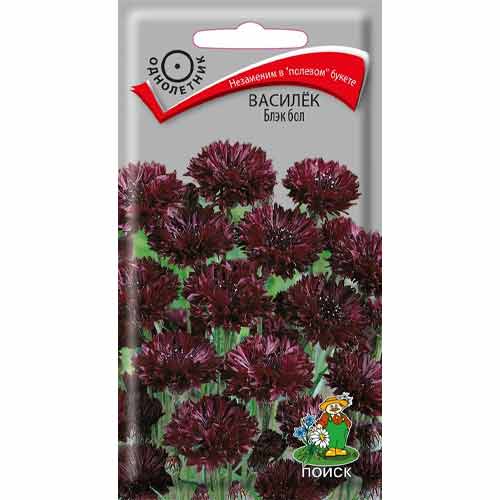 Василек Блэк бол Поиск изображение 1 артикул 82087