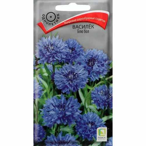 Василек Блю бол Поиск изображение 1 артикул 82088