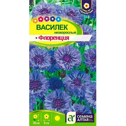 Василек Флоренция, семена изображение 1 артикул 94145
