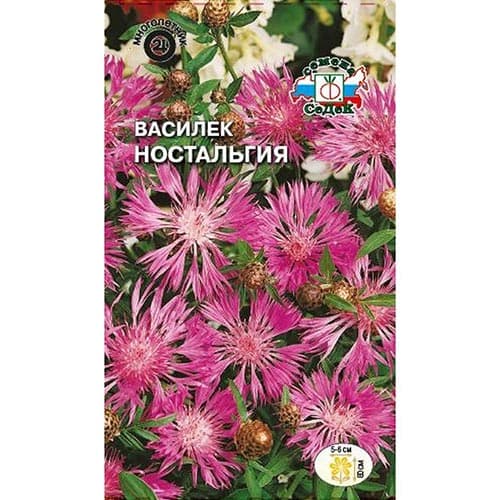 Василек Ностальгия, семена артикул фото 1 Василек Ностальгия, семена изображение 1 артикул 93684