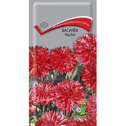 Василек Ред бол Поиск изображение 1 артикул 82090