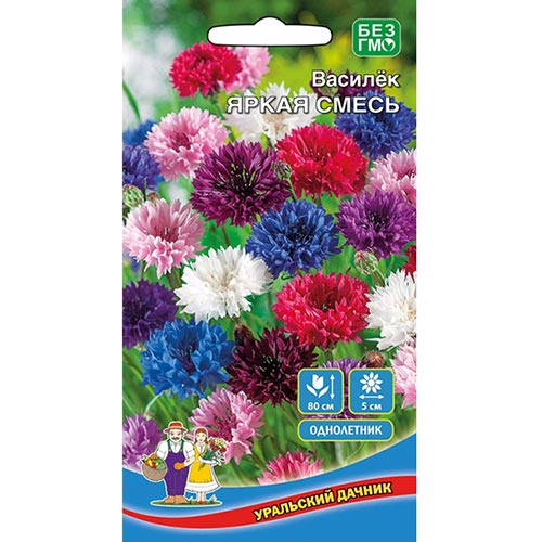 Василек Яркая смесь, смесь окрасок изображение 1 артикул 94766