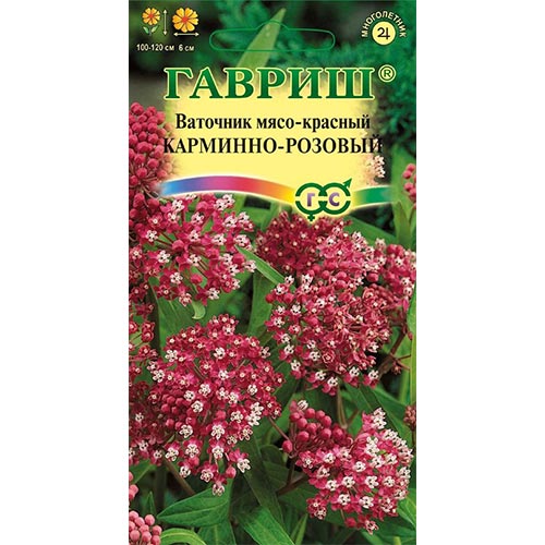 Ваточник Карминно-розовый, семена изображение 1 артикул 91984