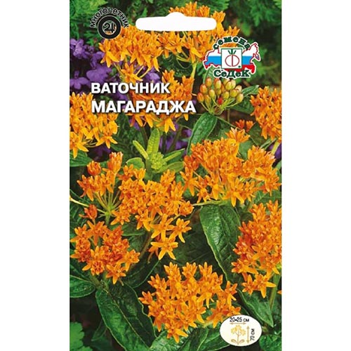 Ваточник Магараджа, семена изображение 1 артикул 93688