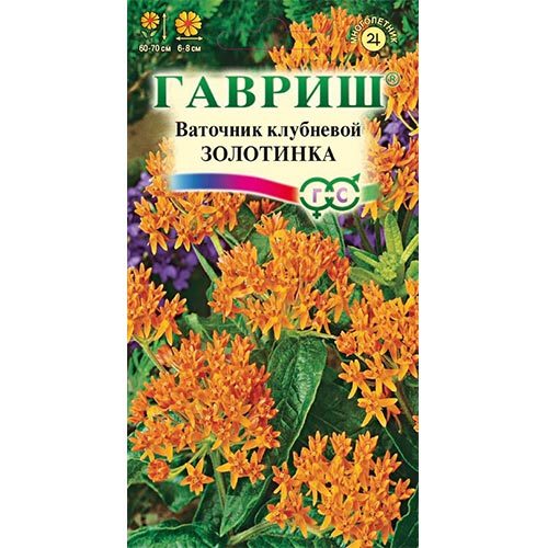 Ваточник Золотинка, семена изображение 1 артикул 91983