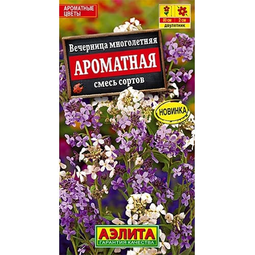 Вечерница Ароматная, смесь окрасок Аэлита изображение 1 артикул 40312