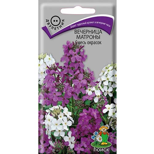 Вечерница Матроны, смесь окрасок Поиск артикул фото 1 Вечерница Матроны, смесь окрасок Поиск изображение 1 артикул 82091