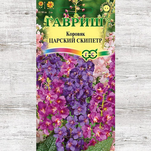Вербаскум (коровяк) Царский скипетр, смесь окрасок Гавриш изображение 1 артикул 83188