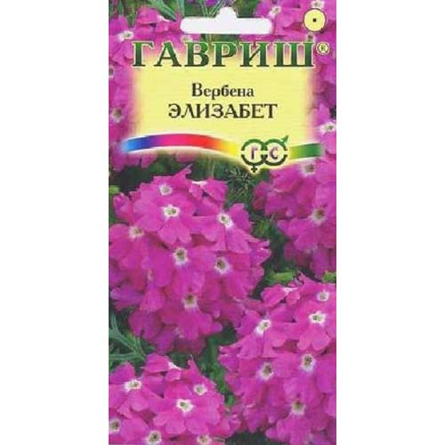 Вербена Элизабет Гавриш изображение 1 артикул 85591