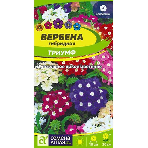 Вербена Триумф, смесь окрасок Семена Алтая изображение 1 артикул 78134