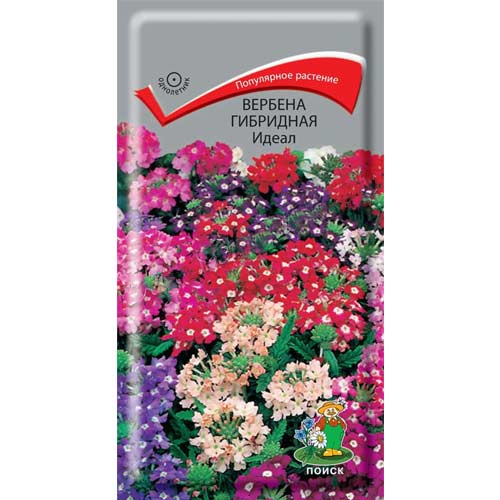 Вербена Идеал, смесь окрасок Поиск изображение 1 артикул 85594