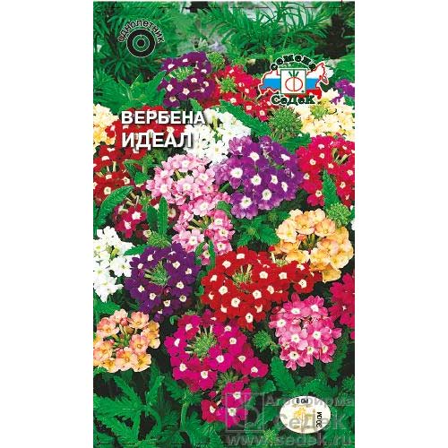 Вербена Идеал, смесь окрасок Седек изображение 1 артикул 85602