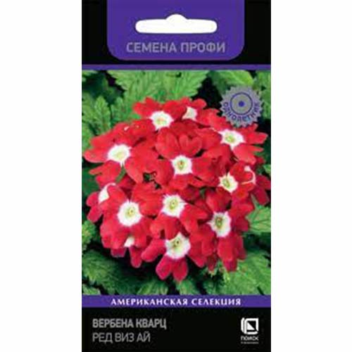 Вербена Кварц Бургунди Виз Ай Поиск изображение 1 артикул 83202