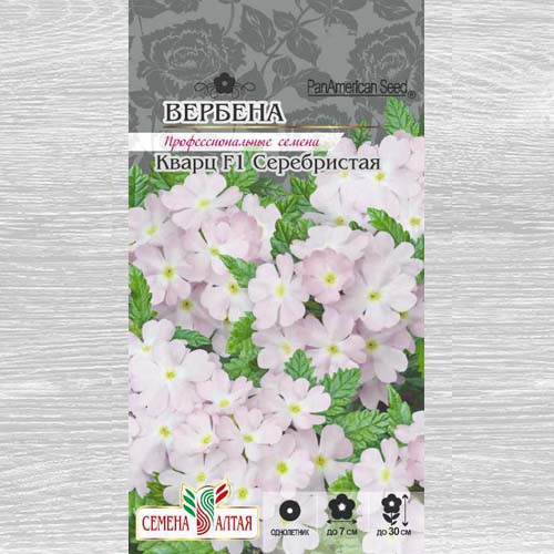 Вербена Кварц Серебристая F1 изображение 1 артикул 78133