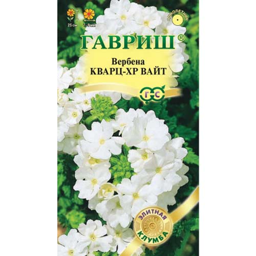Вербена Кварц XP Бургунди с глазком Гавриш изображение 1 артикул 85585