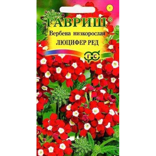 Вербена Люцифер Ред Гавриш изображение 1 артикул 85587