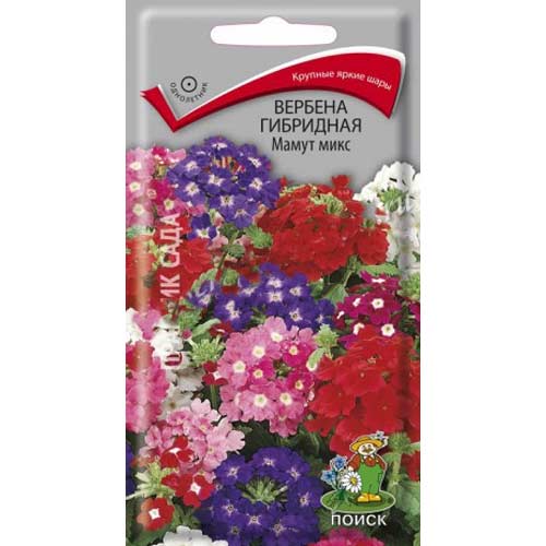 Вербена Мамут, смесь окрасок Поиск изображение 1 артикул 85596