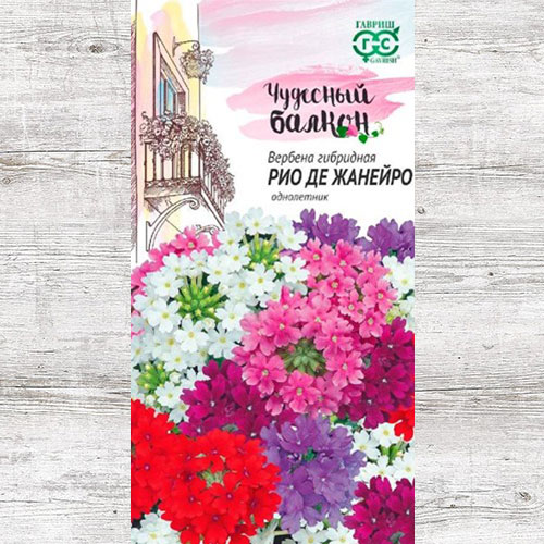 Вербена Рио де Жанейро, смесь окрасок Гавриш изображение 1 артикул 73821