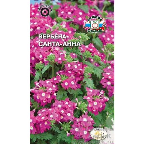 Вербена Санта-Анна Седек изображение 1 артикул 85603