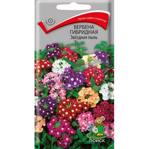 Вербена Звездная пыль, смесь окрасок Поиск изображение 1 артикул 85593