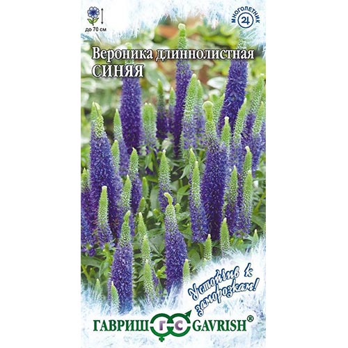 Вероника длиннолистная Синяя, семена изображение 1 артикул 91986