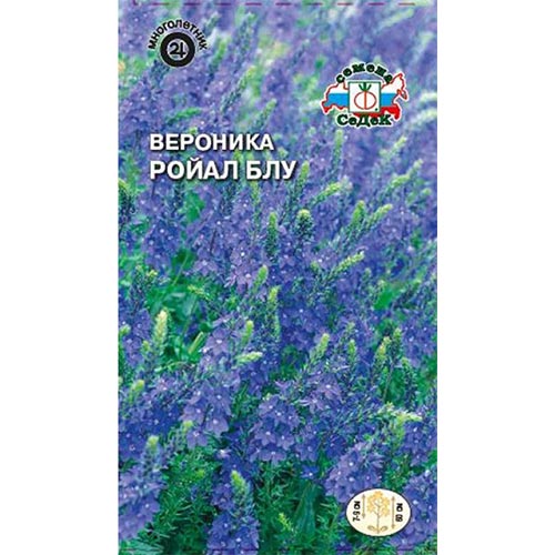 Вероника колосистая Ройал Блу, семена изображение 1 артикул 93692