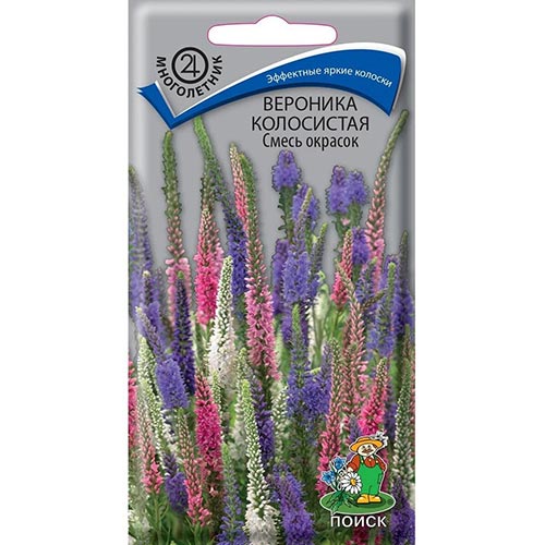 Вероника колосистая, смесь окрасок изображение 1 артикул 92920