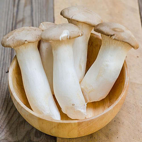 Вешенка королевская изображение 3 артикул 9731