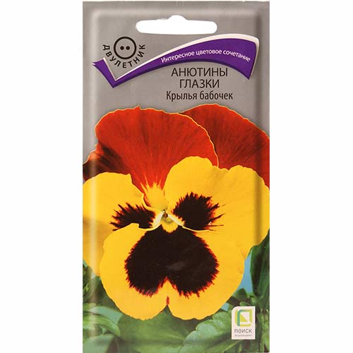 Виола Крылья бабочек Поиск изображение 1 артикул 82025