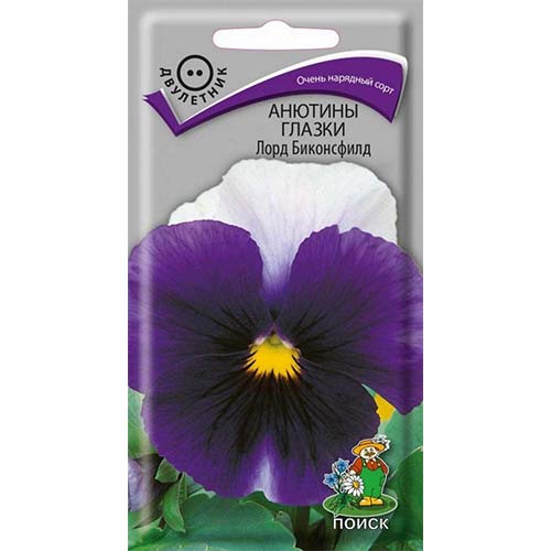 Виола Виттрока Лорд Биконсфилд Поиск изображение 1 артикул 82026