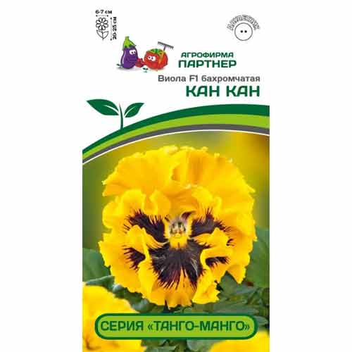 Виола бахромчатая Танго-Манго Кан-Кан F1 Партнер изображение 1 артикул 96997