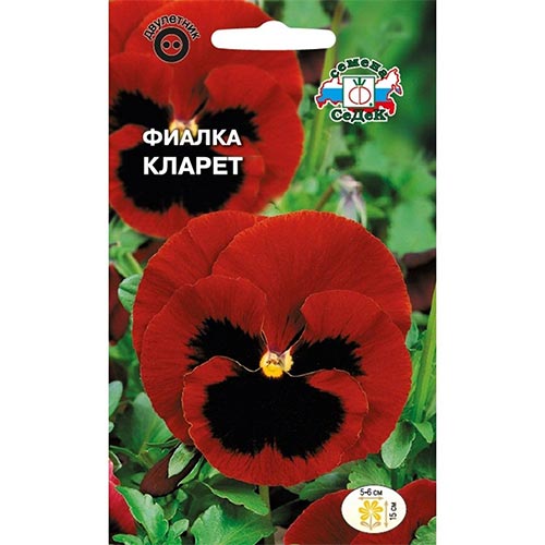Виола Кларет, семена артикул фото 1 Виола Кларет, семена изображение 1 артикул 93704