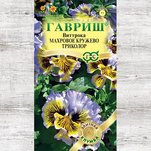 Виола Виттрока Махровое кружево триколор F1 Гавриш изображение 1 артикул 71155