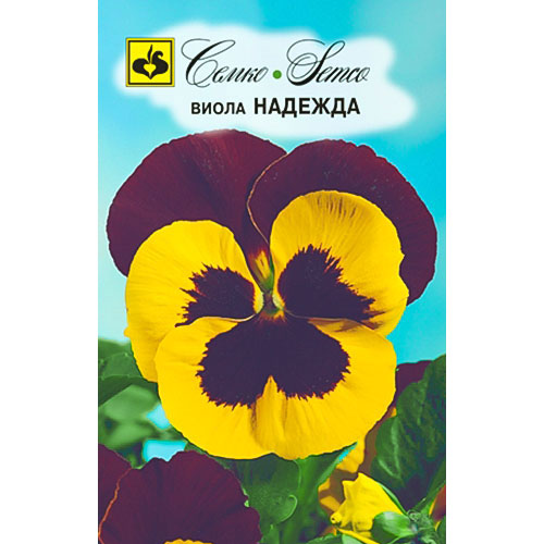 Виола Надежда Семко артикул фото 1 Виола Надежда Семко изображение 1 артикул 82659