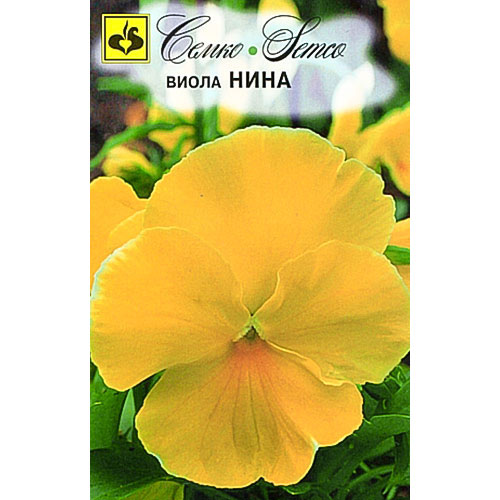 Виола Нина Семко артикул фото 1 Виола Нина Семко изображение 1 артикул 82656