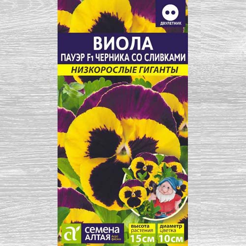 Виола Пауэр Черника со сливками F1 артикул фото 1 Виола Пауэр Черника со сливками F1 изображение 1 артикул 78189