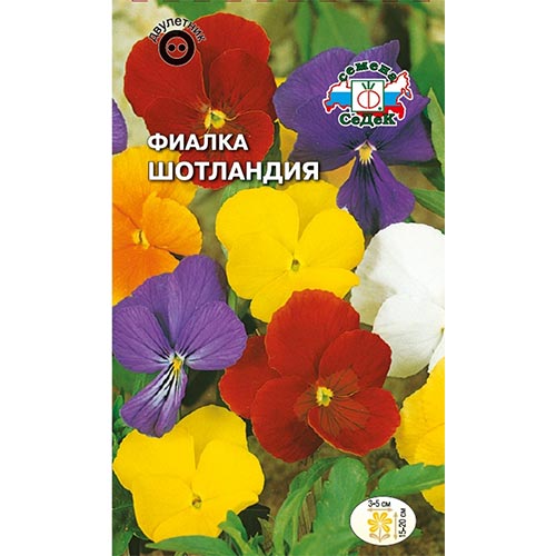 Виола рогатая Шотландия, смесь окрасок артикул фото 1 Виола рогатая Шотландия, смесь окрасок изображение 1 артикул 93712