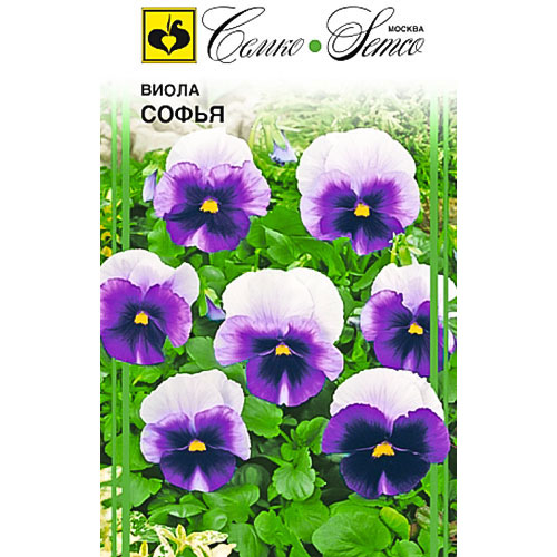 Виола Софья Семко изображение 1 артикул 82670