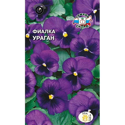 Виола Ураган, семена артикул фото 1 Виола Ураган, семена изображение 1 артикул 93714