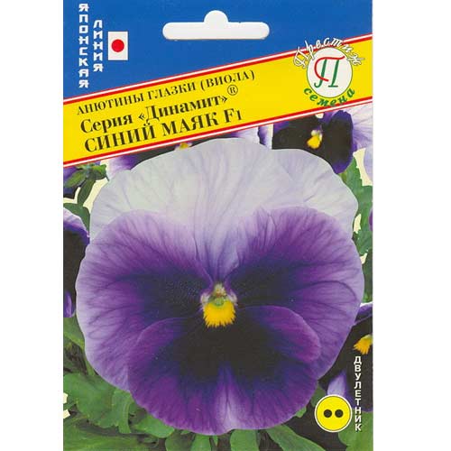 Виола Виттрока Динамит Синий маяк F1 Престиж изображение 1 артикул 81321