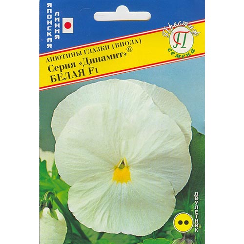 Виола Виттрока Динамит белая F1 Престиж изображение 1 артикул 84414