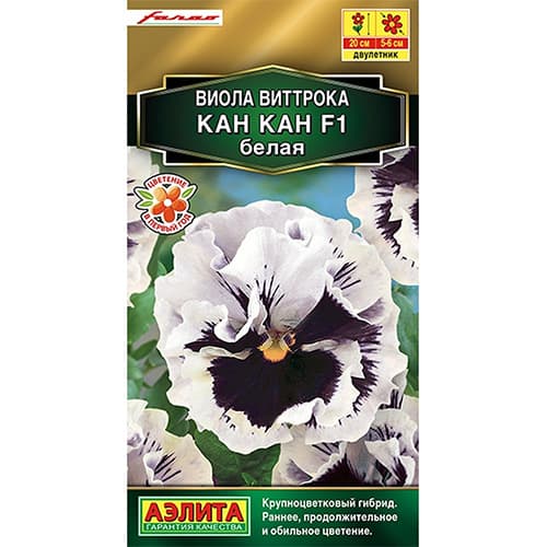 Виола Виттрока Кан Кан белая F1 Аэлита изображение 1 артикул 98897