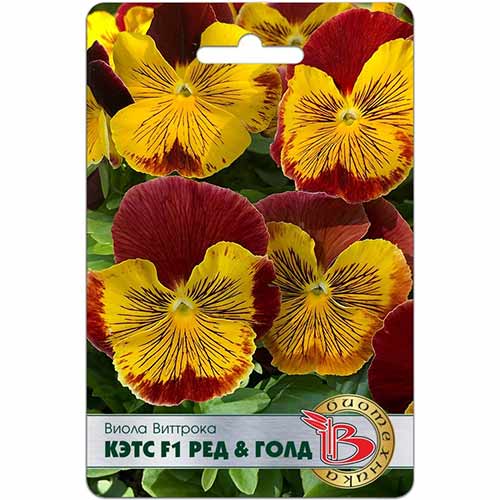 Виола Виттрока Кэтс Ред & Голд F1 Биотехника изображение 1 артикул 74817