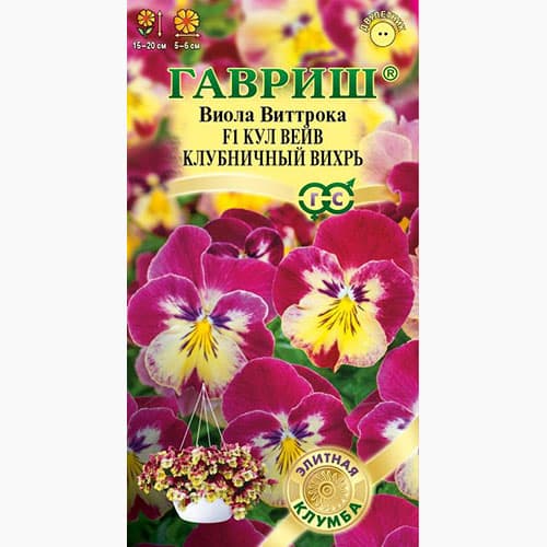 Виола Виттрока Кул Вейв клубничный вихрь F1 Гавриш артикул фото 1 Виола Виттрока Кул Вейв клубничный вихрь F1 Гавриш изображение 1 артикул 97633