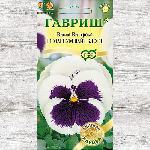 Виола Виттрока Магнум Вайт Блотч F1 Гавриш изображение 1 артикул 73681