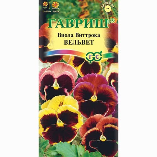Виола Виттрока Вельвет, смесь окрасок Гавриш изображение 1 артикул 66036