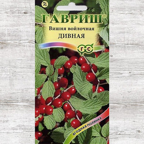 Вишня Дивная (войлочная) Гавриш изображение 1 артикул 85028