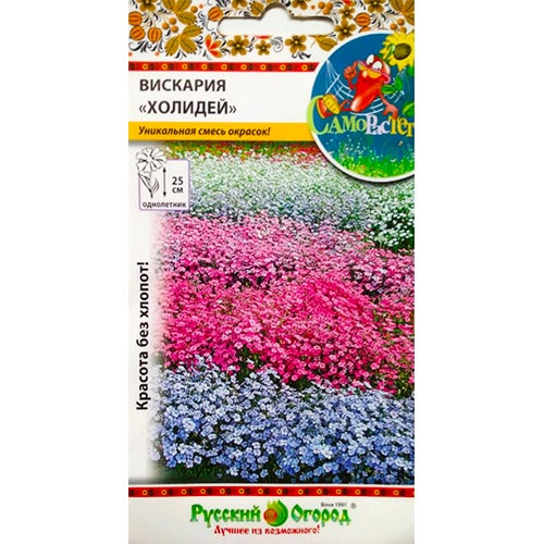 Вискария Холидей, смесь окрасок изображение 1 артикул 92480