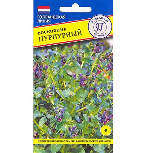 Восковник Пурпурный Престиж артикул фото 1 Восковник Пурпурный Престиж изображение 1 артикул 73628